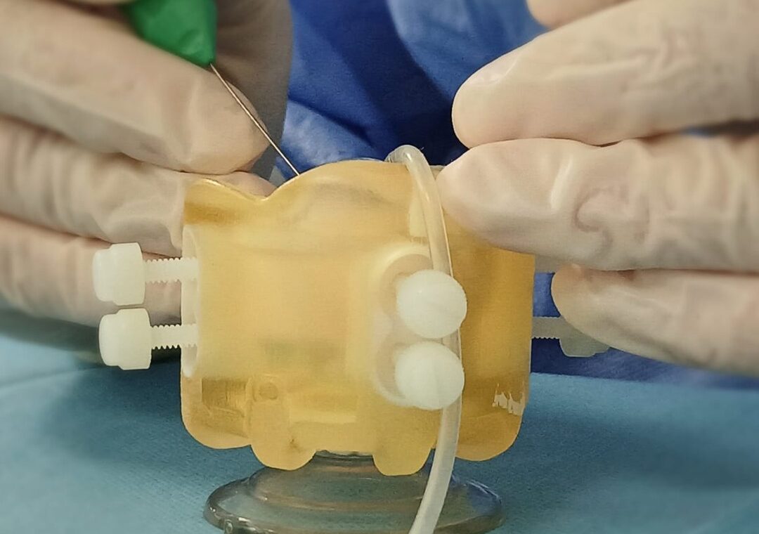 Gloved, hands-on practice on an artificial eye model.